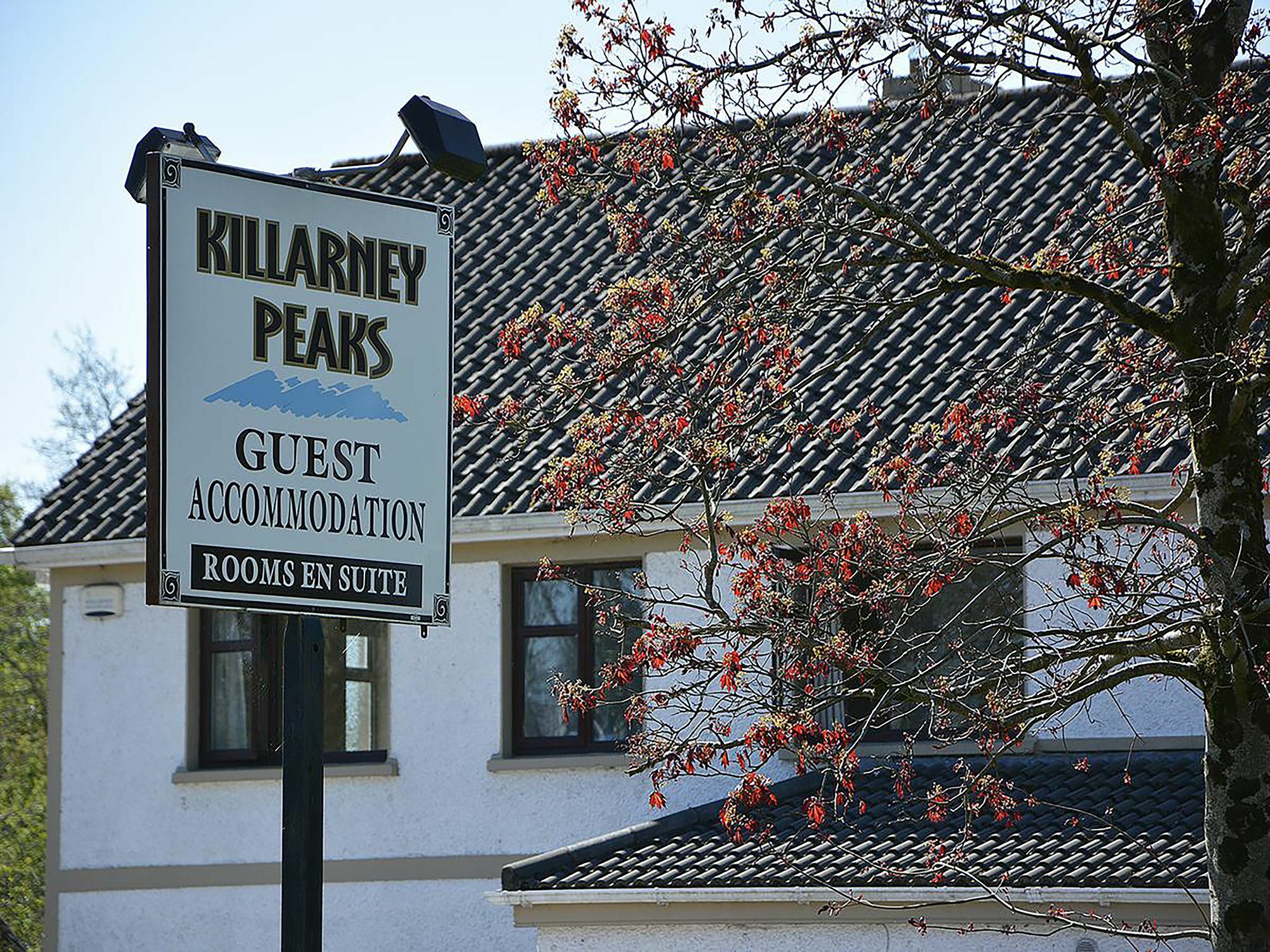 Killarney Peaks Guesthouse Exterior foto